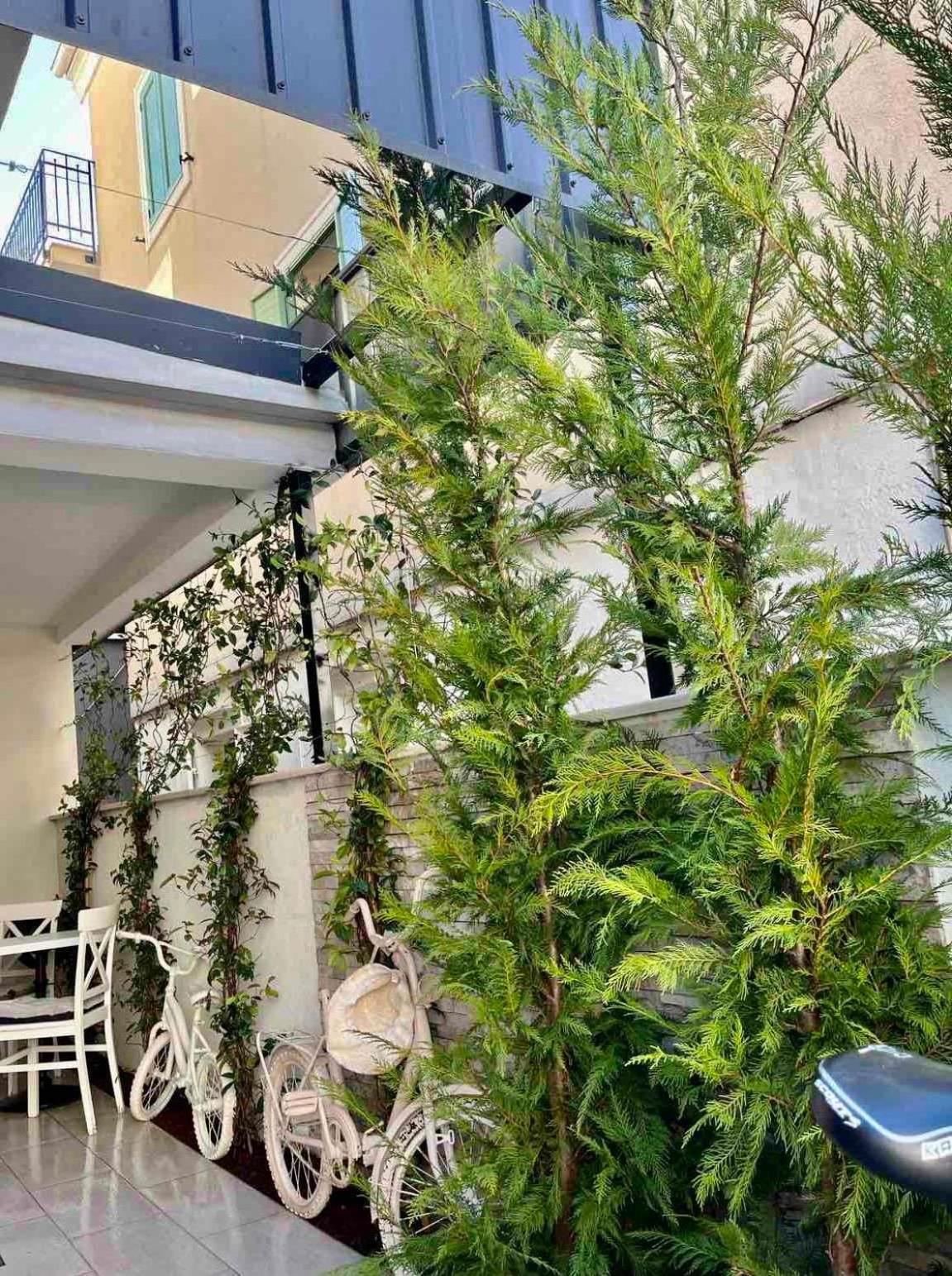 Garni Hotel Tianis Kotor Dış mekan fotoğraf
